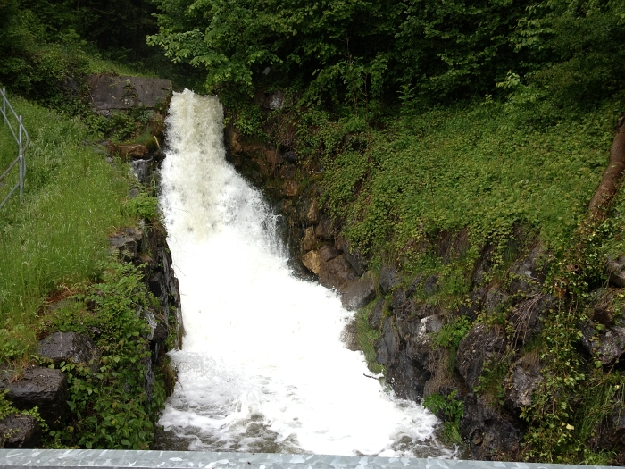 bild (4)